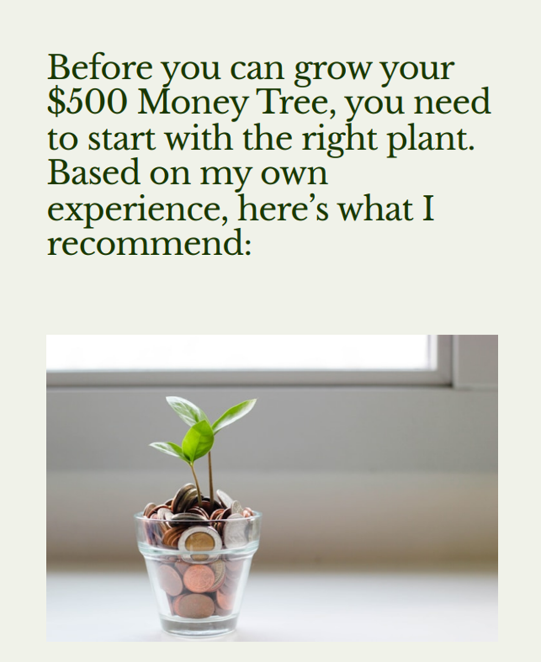 The $500 Money Tree